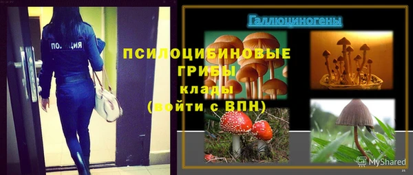 дмт Липки